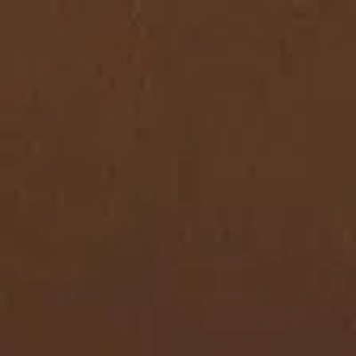 Abercrombie & Fitch Western Leather Belt In Brown