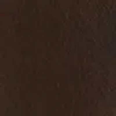 Abercrombie & Fitch Western Ornamental Leather Belt In Brown