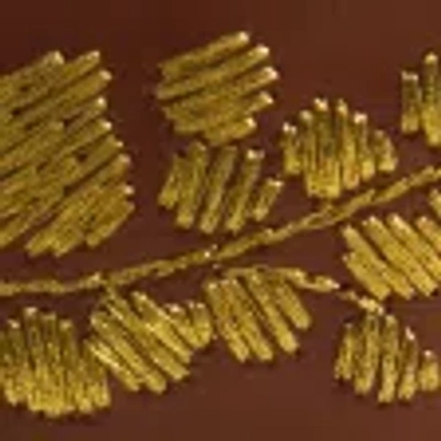 Abercrombie & Fitch Embroidered Leather Belt In Brown