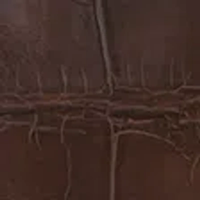 Abercrombie & Fitch Vegan Leather Kitten Heel Boots In Multi