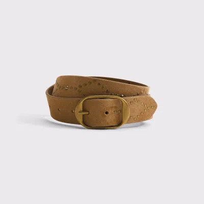 Abercrombie & Fitch Squoval Studded Belt In Brown