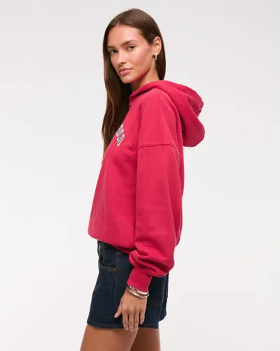 Abercrombie & Fitch San Francisco 49ers Sunday Hoodie