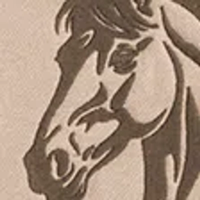 Abercrombie & Fitch Wyoming Oversized Sunday Crew In Brown