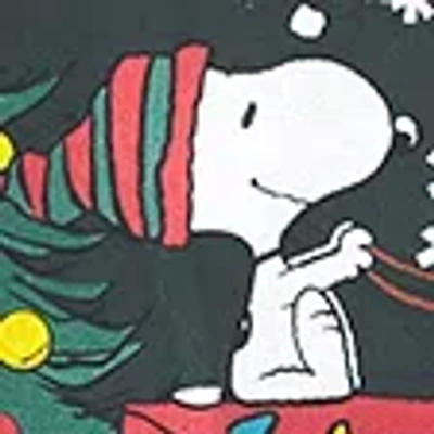 Abercrombie & Fitch Peanuts Sunday Crew In Green