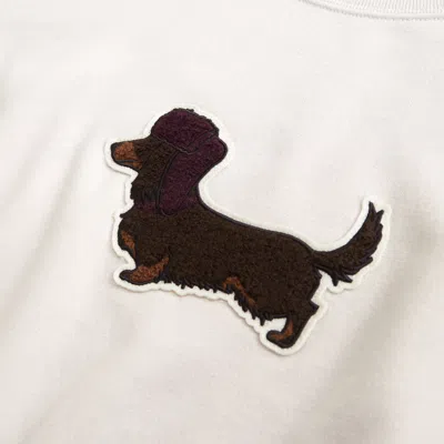 Abercrombie & Fitch Dog  Sunday Crew In Neutral