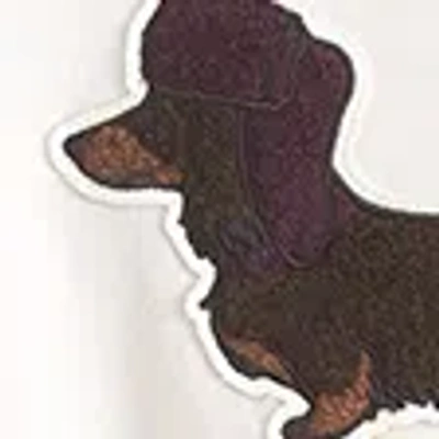 Abercrombie & Fitch Dog  Sunday Crew In Neutral