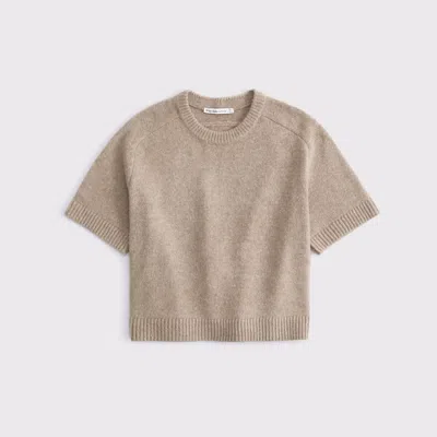 Abercrombie & Fitch The A&f Madeline Crew Sweater Tee In Brown