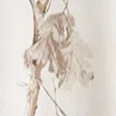 Abercrombie & Fitch High Rise Sunday Wide Leg Sweatpant