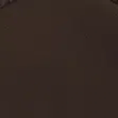 Abercrombie & Fitch Bra-free Long-sleeve Mesh Plunge Top In Brown