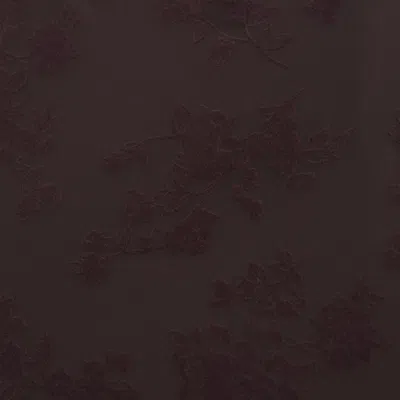 Abercrombie & Fitch Bra-free Off-the-shoulder Long-sleeve Top In Brown