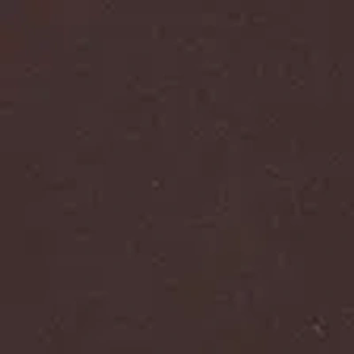 Abercrombie & Fitch Double-lined Long-sleeve Baby Tee In Brown