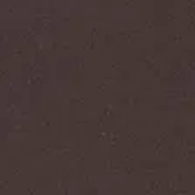 Abercrombie & Fitch Bra-free Off-the-shoulder Long-sleeve Top In Brown