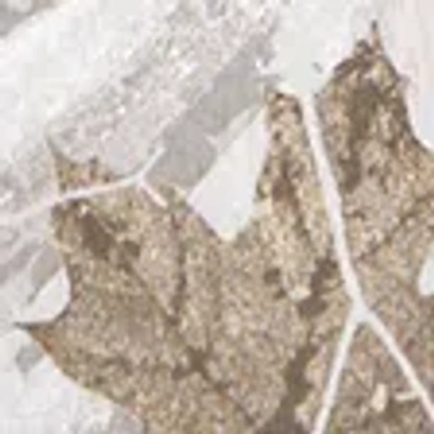 Abercrombie & Fitch Essential Polished Body-skimming Tee In Neutral