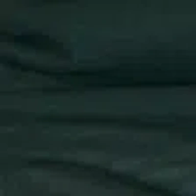 Abercrombie & Fitch The A&f Paloma Long-sleeve Mesh Top In Green