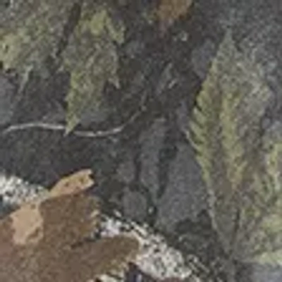 Abercrombie & Fitch Athletic Loose Workwear Pant In Multi