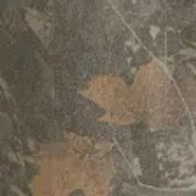 Abercrombie & Fitch Loose Workwear Pant In Brown