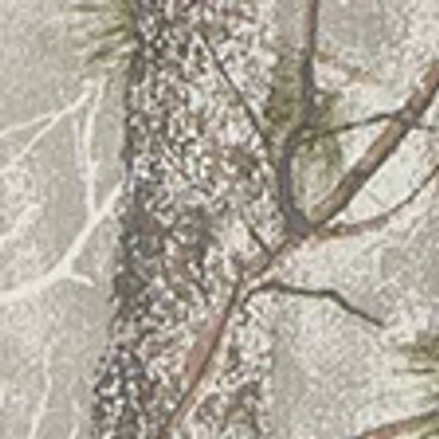 Abercrombie & Fitch Twill Button-up Shirt