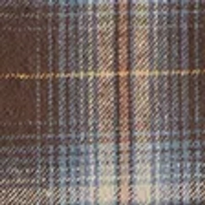 Abercrombie & Fitch Flannel In Brown