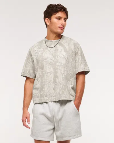 Abercrombie & Fitch Premium Heavyweight Cropped Tee In Gray