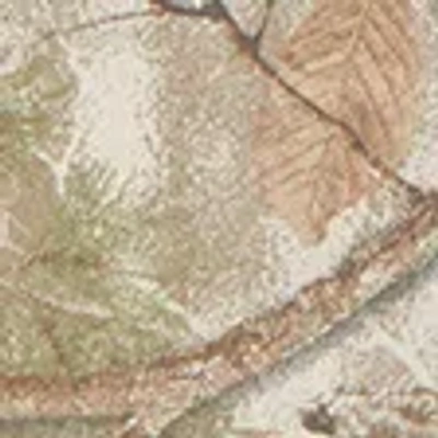 Abercrombie & Fitch Vintage-inspired Cropped Tee In Multi