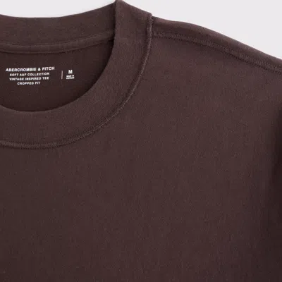 Abercrombie & Fitch Vintage-inspired Cropped Tee In Brown
