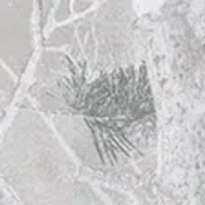 Abercrombie & Fitch 3-pack Premium Heavyweight 2.0 Tees In Brown