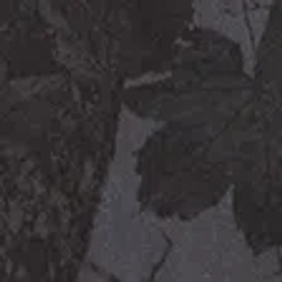 Abercrombie & Fitch Premium Heavyweight 2.0 Tee In Black