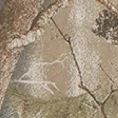 Abercrombie & Fitch Premium Heavyweight Cropped Tee In Gray