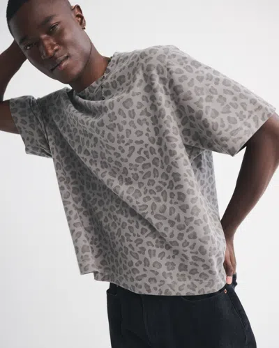 Abercrombie & Fitch Premium Heavyweight Cropped Tee In Gray