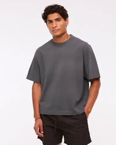 Abercrombie & Fitch Premium Heavyweight Cropped Tee In Gray