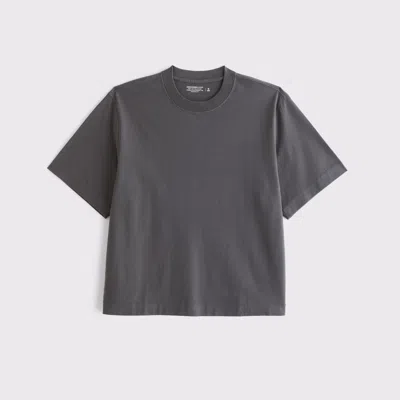 Abercrombie & Fitch Premium Heavyweight Cropped Tee In Gray