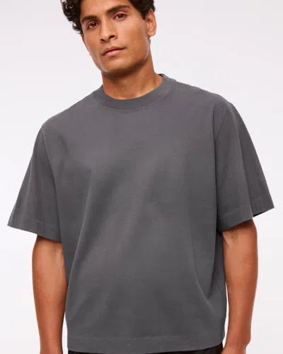 Abercrombie & Fitch Premium Heavyweight Cropped Tee In Gray