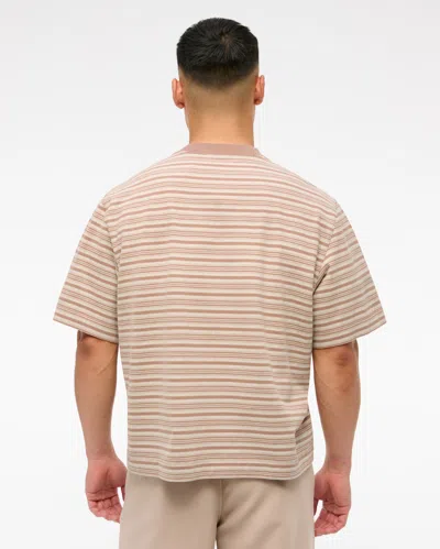 Abercrombie & Fitch Premium Heavyweight Cropped Tee In Neutral