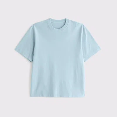 Abercrombie & Fitch Premium Heavyweight 2.0 Tee In Blue