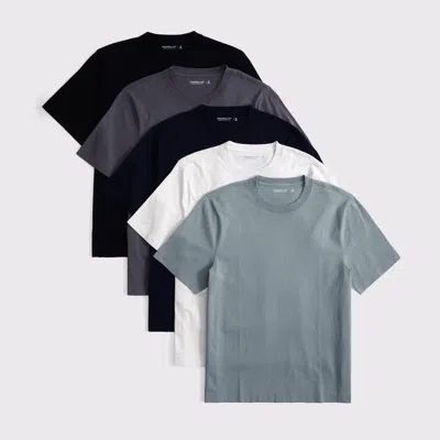 Abercrombie & Fitch 5-pack Classic Polished Tees In Multi