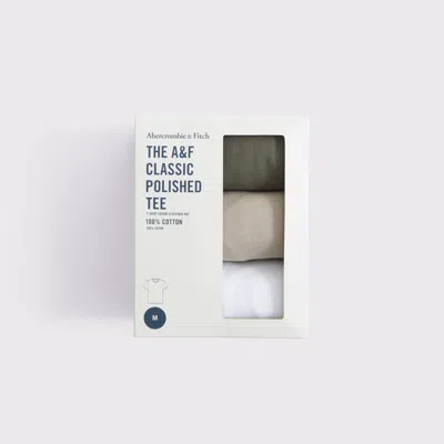 Abercrombie & Fitch 3-pack Classic Polished Tees In Multi