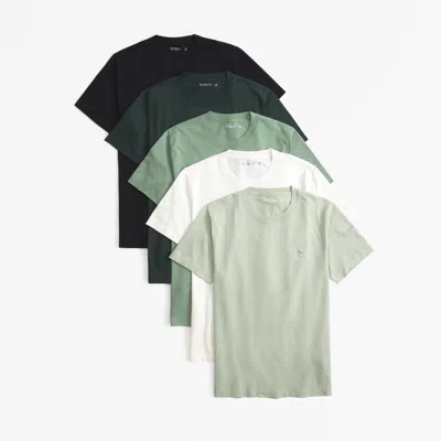 Abercrombie & Fitch 5-pack Slim Polished Tonal Icon Tees In Multi