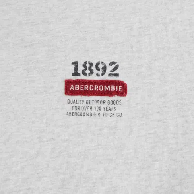 Abercrombie & Fitch Premium Heavyweight 2.0 Tee In Neutral