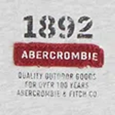 Abercrombie & Fitch Premium Heavyweight 2.0 Tee In Neutral