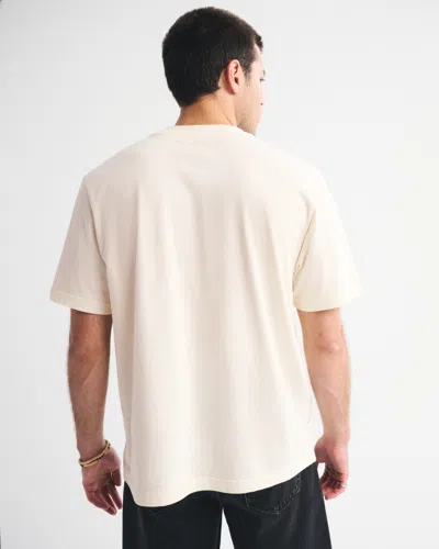 Abercrombie & Fitch Carolina Panthers Vintage-inspired Graphic Tee In Neutral