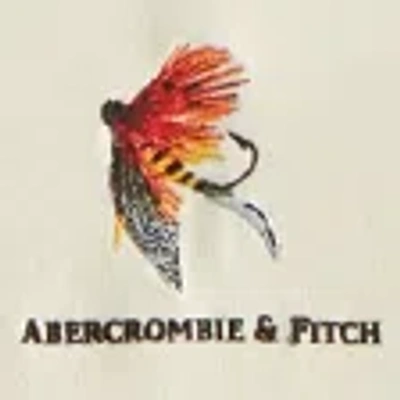 Abercrombie & Fitch Long-sleeve Premium Heavyweight 2.0 Graphic Logo Tee In White