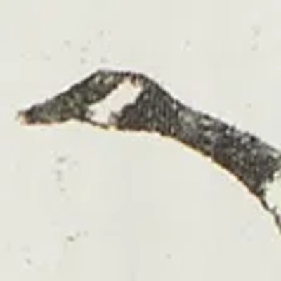 Abercrombie & Fitch Premium Heavyweight 2.0 Miller High Life Graphic Tee In Neutral