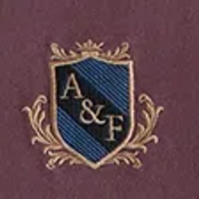 Abercrombie & Fitch Premium Heavyweight 2.0 Crest Logo Tee In Purple