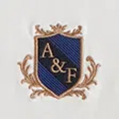 Abercrombie & Fitch Premium Heavyweight 2.0 Crest Logo Tee In White