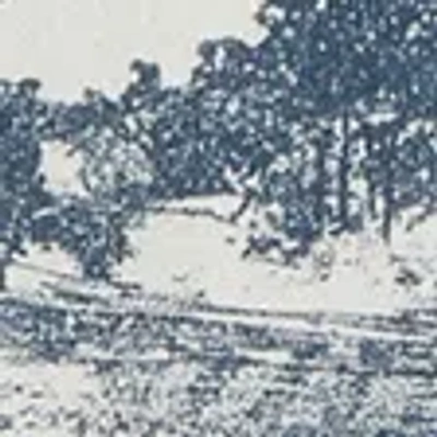 Abercrombie & Fitch Pga The Players Championship Graphic Tee In Brown