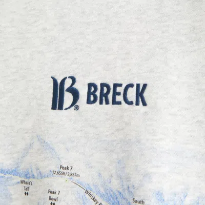 Abercrombie & Fitch Breckenridge Graphic Crew Sweatshirt In Gray