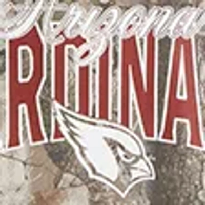 Abercrombie & Fitch Arizona Cardinals Graphic Popover Hoodie In Brown