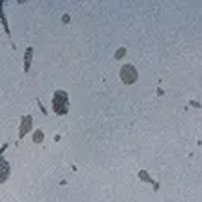 Abercrombie & Fitch Essential Popover Hoodie In Blue