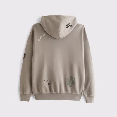 Abercrombie & Fitch Essential Popover Hoodie In Brown