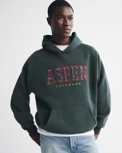 Abercrombie & Fitch Aspen Graphic Popover Hoodie In Green